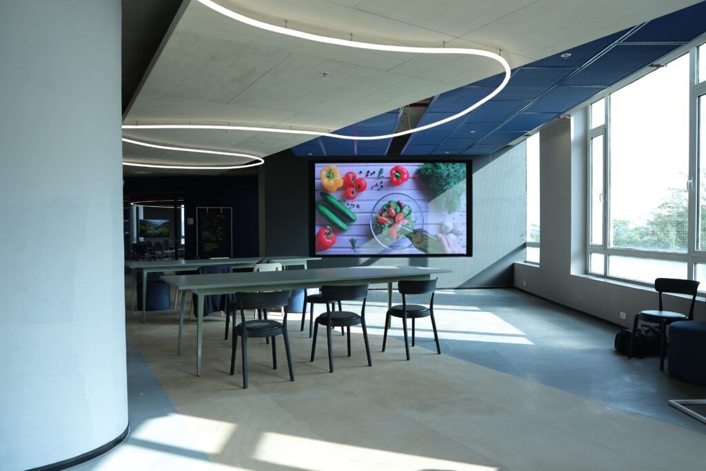 gallery (13)